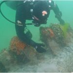 I subacquei in fase di monitoraggio del relitto inedito