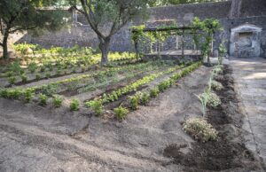 Pompei, Casa del Giardino di Ercole: ricostruzione filologica del giardino