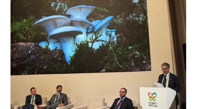 COP17 sulla biodiversità: l’Italia ha aderito al Fungal Conservation Pledge