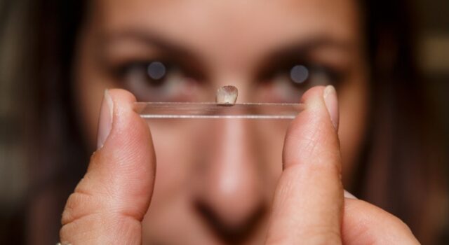 Il DNA di 30.000 anni fa rivela nuove connessioni tra le popolazioni europee del Paleolitico